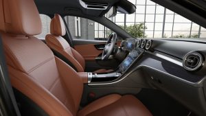 Ảnh 13