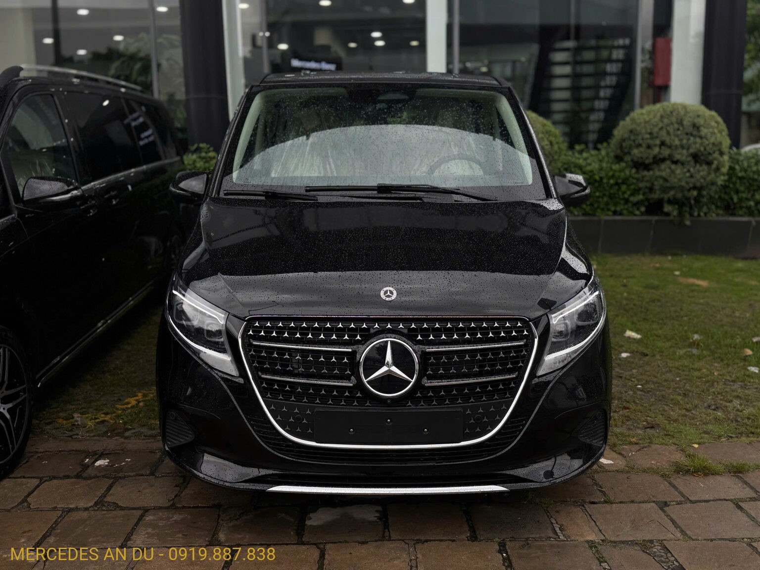 Mercedes V300 Avantgarde MPV hạng sang